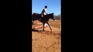 Jumping and Booker 2'6" West Creek Stables, Austell, GA #horsejumping #horse #equestrian #horses