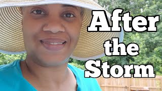 After the storm | Beginner Container Gardening | Backyard Gardening | Zone 7B