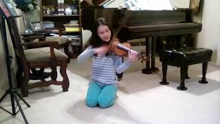 Violin Playing Techniques