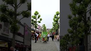 De Reuzenstoet komt eraan! - 01-06-2024 - Proefmei Bergen op Zoom