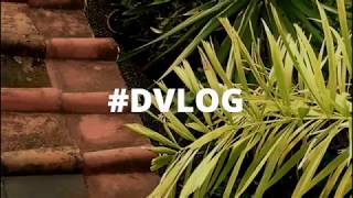 THIS IS HOW I VLOG #DVLOG (opening debut)