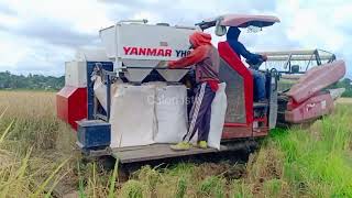 Mobil Potong Padi YANMAR YH 850 #387