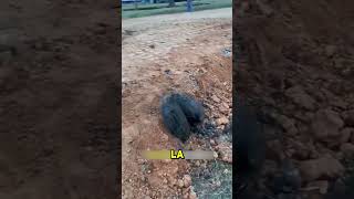 Así se DESPEJA una TUBERÍA con una LLANTA y un TRACTOR