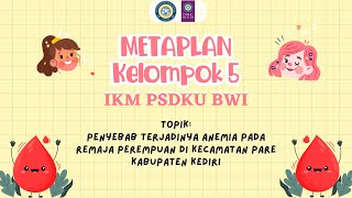 METAPLAN KELOMPOK 5 KELAS IKM PSDKU BWI 2019