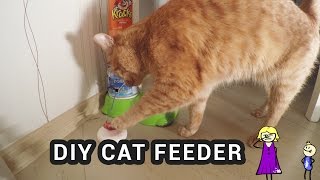 DIY ARDUINO CAT FEEDER – cat pushes button to get food