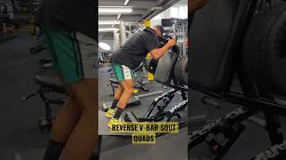 REVERSE V-BAR SQUAT - QUADS