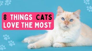 8 Things Cats Love the Most