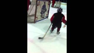 West Island Hockey School