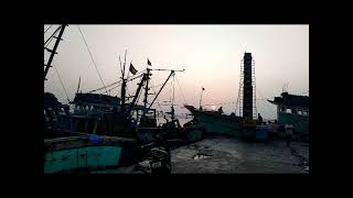 Ride to Kasimedu Fishing Harbour - Royapuram, Chennai - Sunday Early Morning