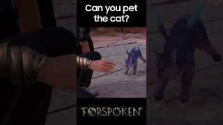 Yes, you can pet the cat in Forspoken