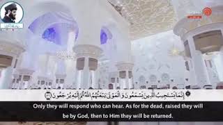 Beautiful Tilawat e Quran Live | RaadMuhammad Al Kurdi |💖