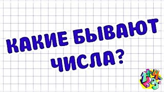 КАКИЕ БЫВАЮТ ЧИСЛА? ВИДЫ ЧИСЕЛ | МАТЕМАТИКА ДЛЯ ВСЕХ