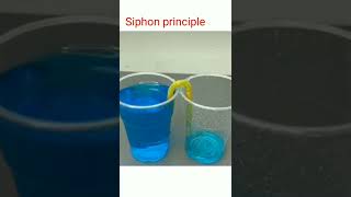 Siphon principle #shorts #ytshorts