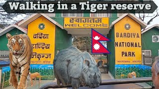 Dare to track tigers on foot? Welcome to Bardiya National Park - Nepal 🇳🇵| Full day safari Day-1