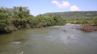 République de Guinée (Guinée Conakry)  Mambia Forêt des grandes cascades / Guinea Mambia