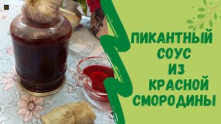 ПИКАНТНЫЙ СОУС ИЗ КРАСНОЙ СМОРОДИНЫ