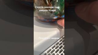 Прощай дружоук покойся с миром