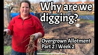 Clearing the Community Plot: Week 2: Why are we not 'No Dig' on this overgrown ground?