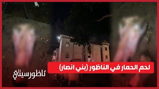 لحم الحمار في الناظور (بني انصار).. ماذا وقع وماهو مصير اللحم؟