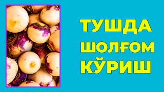 Туш табири - Тушда Шолгом куриш