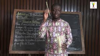 École au Bénin: Mathématiques CP - La construction du nombre 100