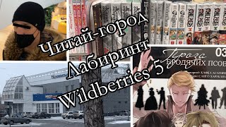 Поход в Читай-город, Лабиринт, Wildberries 5: распаковка манги.