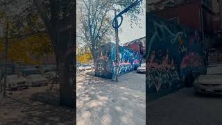 The Historic Graffiti Alley in Toronto #toronto #shorts #torontocanada #ontariocanada #ontario