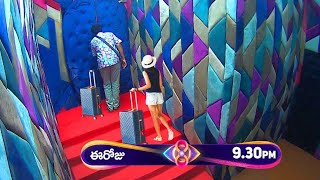 Wild Card Entry 🔥 New Contestant Bigg Boss 8 Telugu Wild Card Entry | BiggBoss 8 Telugu Today Update