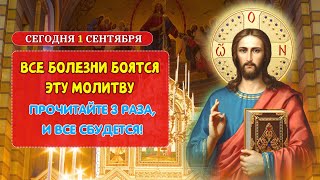 ВСЕ БОЛЕЗНИ БОЯТСЯ эту молитву Прочитайте 3 раза, и все сбудется!🙏