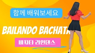 Bailando Bachata|Tutorial|설명영상