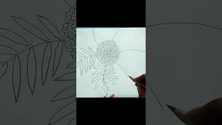 Beautiful marigold 🏵️ flower drawing #marigoldflowers #art #youtubeshorts