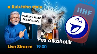 Pavel otevřel Hrad, pes alkoholik, logo MS v hokeji a další | ■▸● Live