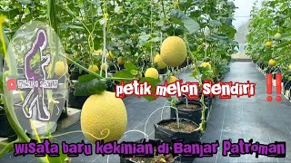 Galbarman farm Banjar #vlog  #walking  #walk