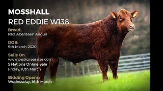 MOSSHALL RED EDDIE W138 - Red Aberdeen Angus - Pedigree Sales Online Auction