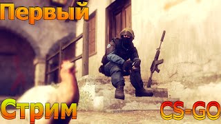 Впервые стримим [CS-GO] Ракуем как можем!