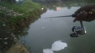 mancing casting // predator // sungai jagir