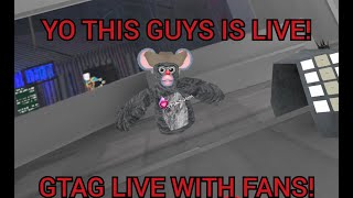 Playing GORILLA TAG LIVE With Fans!