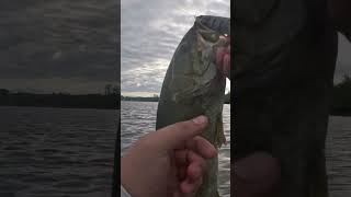 A nice small jaw on Alum Creek.