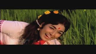 Pachagaddi Koseti Video Song Dasara Bullodu Telugu Movie ANR  Vanisri