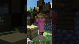 HISTORIAS DE CERDOS // Mods de MINECRAFT en 15 segundos