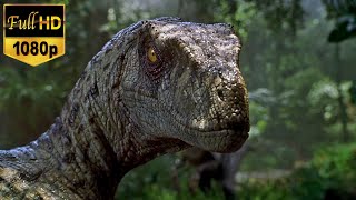 Jurassic park III (2001) - Velociraptor attack scene [HD 1080p]