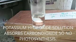 GLIMPSES OF NEXT VIDEO :- PHOTOSYNTHESIS CANT HAPPEN WITHOUT CO2 BIOLOGY DEMO STD 8-12