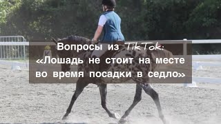 Вопросы из ТikTok: Лошадь не стоит на месте во время посадки в седло