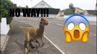 Dinosaurs In Real Life?? || Jurassic World Alive