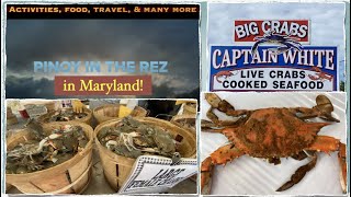 Maryland Blue Crabs!