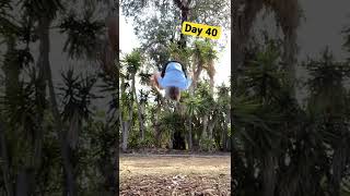 Doing a backflip everyday (Day 40)