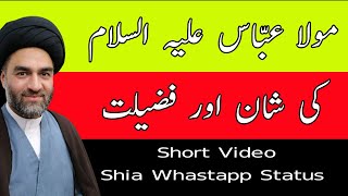 Mola Abbas Status | Fazail Mola Abbas | Shia Whatsapp Status | Allama Ali Raza Rizvi Status