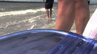 Hilton Head Shark Attack!