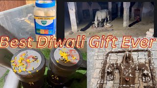 Iss Diwali ka best Gift 🎁 || Housekeeping Ne itna Acha Gift Diya #happydiwali #govardhan #gaumata