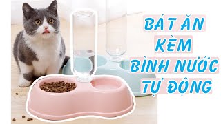 Bát Ăn Đôi Cấp Nước Tự Động Kèm Bình Nước Cho Pet - Nông Trại Thú Cưng